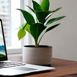 Canadian Immigration Consultant - Consultation